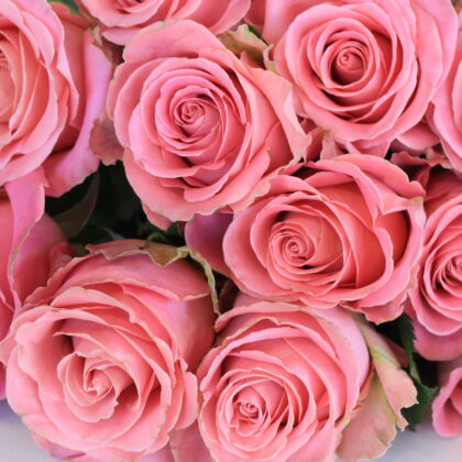 Hosszú szárú világos rózsaszín rózsa csokor